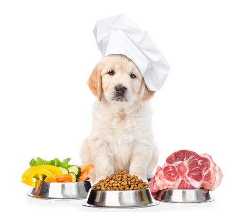 Fresh pet food ingredients